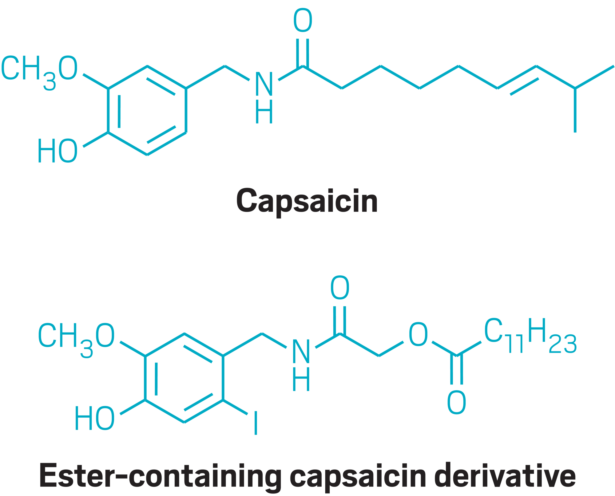 capsaicin