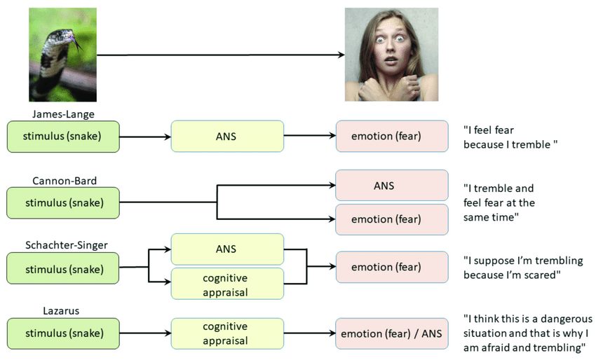 early theories of emotion